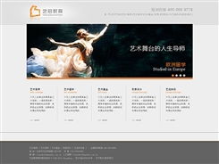 北京傳誠信網(wǎng)站建設(shè)公司 教育咨詢服務(wù)網(wǎng)站建設(shè)經(jīng)典案例解析（第8頁精選）