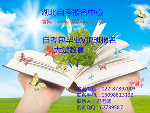 武漢大楚教育學堂 專業咨詢服務賦能教育未來